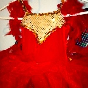 Red Feather Pageant Kid Costume